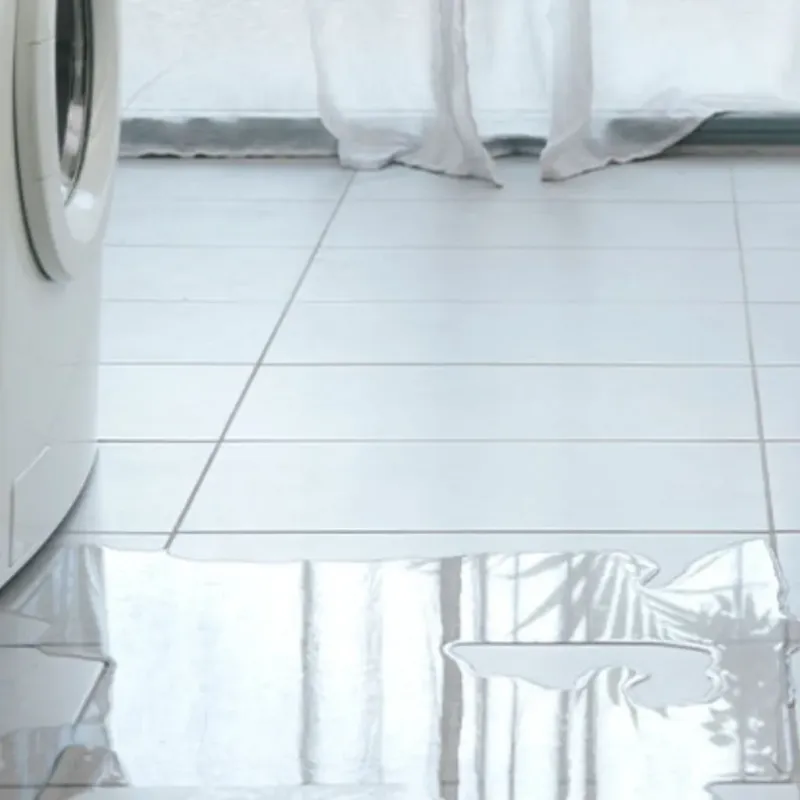 Appliance Leak Cleanup in Moore County, TN