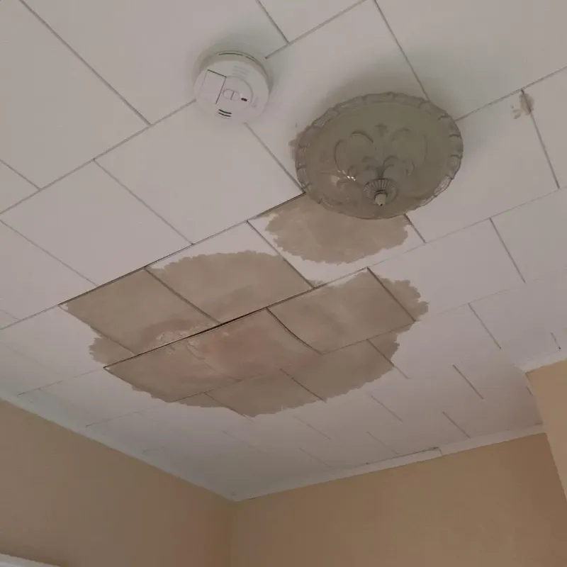Ceiling Water Damage Repair in Moore County, TN