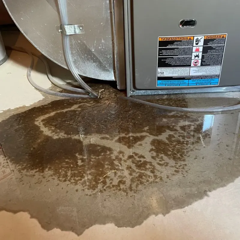Pipe Burst and Leak Restoration in Moore County, TN