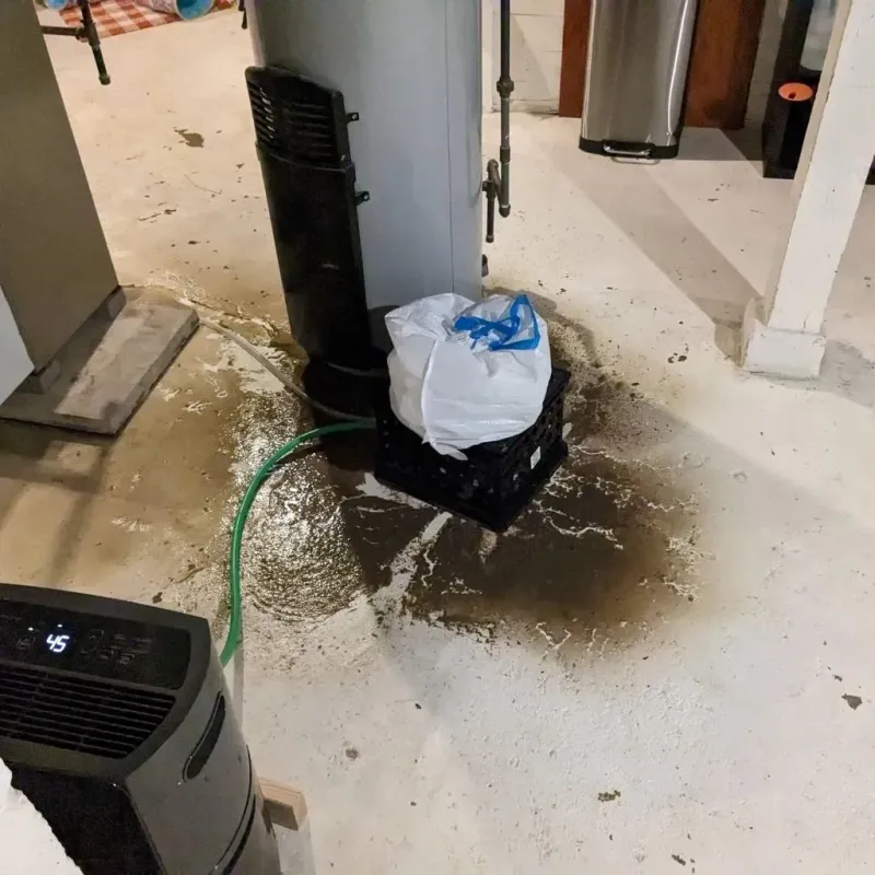 Sewage Backup Cleanup Service in Moore County, TN